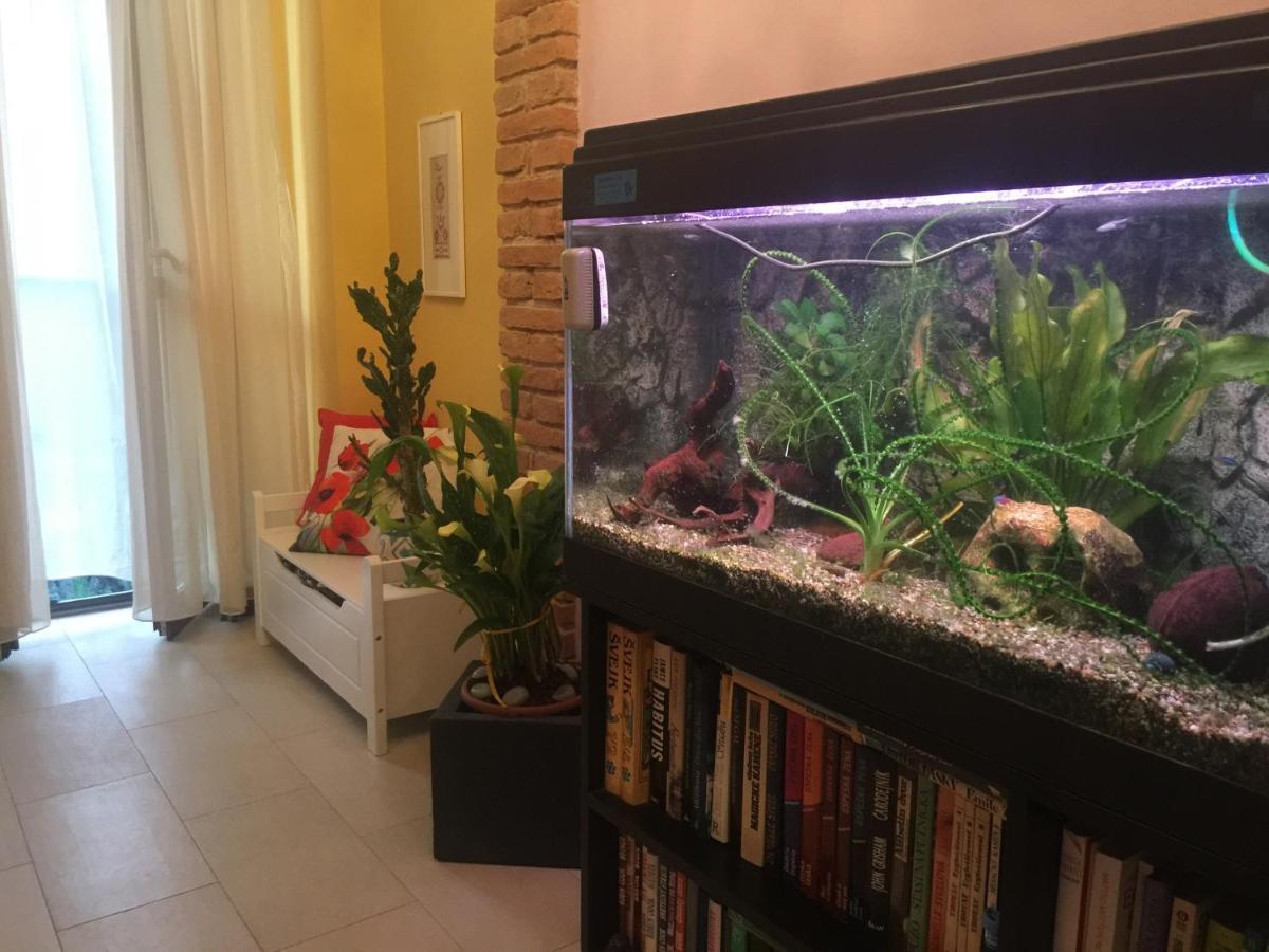 B&B La Casa D'Artista Ortignano Raggiolo Luaran gambar